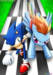 Size: 1024x1447 | Tagged: safe, artist:bbmbbf, banned from derpibooru, deleted from derpibooru, derpibooru import, rainbow dash, equestria untamed, crossover, palcomix, race, sonic the hedgehog, sonic the hedgehog (series)
