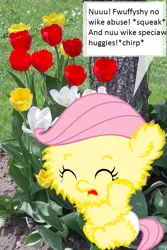 Size: 467x700 | Tagged: grimdark, artist:m1j, banned from derpibooru, deleted from derpibooru, derpibooru import, edit, fluffy pony, abuse, crying, diaper, flower, fluffy pony foal, fluffy pony grimdark, fluffyshy, foal, meta