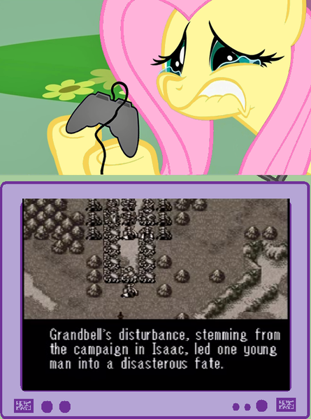 Size: 556x749 | Tagged: safe, banned from derpibooru, deleted from derpibooru, derpibooru import, fluttershy, exploitable meme, fe4, fire emblem, fire emblem: genealogy of the holy war, fluttercry, meme, obligatory pony, tv meme, video game