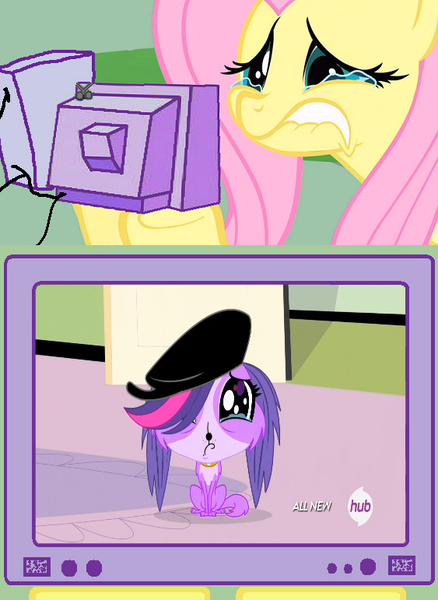 Size: 563x771 | Tagged: safe, banned from derpibooru, deleted from derpibooru, derpibooru import, fluttershy, crying, exploitable meme, fluttercry, littlest pet shop, meme, obligatory pony, tv meme, zoe trent