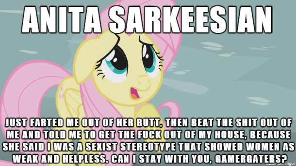 Size: 610x343 | Tagged: safe, banned from derpibooru, deleted from derpibooru, derpibooru import, fluttershy, anita sarkeesian, caption, gamergate, image macro, meme, text