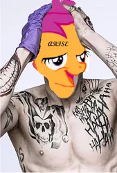 Size: 322x477 | Tagged: safe, banned from derpibooru, deleted from derpibooru, derpibooru import, chickun, exploitable meme, faic, forced meme, jared leto, joker, meme, stupid, suicide squad