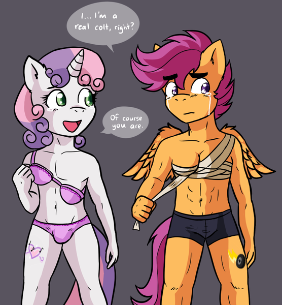 Size: 834x900 | Tagged: questionable, artist:toxicscootaloo, banned from derpibooru, deleted from derpibooru, derpibooru import, scootaloo, sweetie belle, anthro, alternate cutie mark, bare chest, belly button, boxers, bra, breast binding, clothes, crotch bulge, crying, feels, female to male, male to female, panties, partial nudity, pink underwear, rule 63, scooteroll, topless, trans boy, transgender, trans girl, underwear