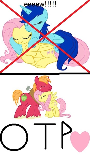 Size: 401x694 | Tagged: artist needed, safe, banned from derpibooru, deleted from derpibooru, derpibooru import, big macintosh, fluttershy, anti fluttercrystal, anti lesbian, exploitable meme, female, fluttermac, fuck you roilbystarwarrior, fuck yourself fluttercrystal shippers, heart (organ), hetero, male, meme, organs, otp, shipping, straight