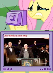 Size: 496x684 | Tagged: safe, banned from derpibooru, deleted from derpibooru, derpibooru import, fluttershy, dusty rhodes, exploitable meme, fluttercry, meme, obituary, obligatory pony, tv meme, wwe