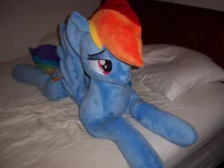 Size: 1067x800 | Tagged: safe, artist:agatrix, artist:vile-flesh, banned from derpibooru, deleted from derpibooru, derpibooru import, rainbow dash, bed, bedroom eyes, irl, lidded eyes, life size, photo, plushie, solo