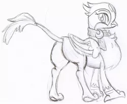 Size: 943x768 | Tagged: safe, artist:patricknobles, banned from derpibooru, deleted from derpibooru, derpibooru import, greta, gryphon, butt, looking back, monochrome, plot, solo, traditional art