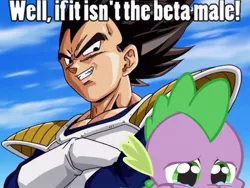 Size: 650x488 | Tagged: safe, banned from derpibooru, deleted from derpibooru, derpibooru import, edit, spike, abuse, burn, caption, dragon ball z, dragonball z abridged, image macro, meme, photoshop, spikeabuse, team four star, text, vegeta