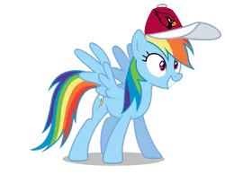 Size: 801x687 | Tagged: safe, banned from derpibooru, deleted from derpibooru, derpibooru import, rainbow dash, arizona cardinals