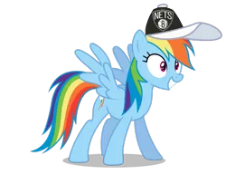 Size: 801x687 | Tagged: safe, banned from derpibooru, deleted from derpibooru, derpibooru import, rainbow dash, brooklyn nets