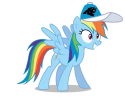 Size: 801x687 | Tagged: safe, banned from derpibooru, deleted from derpibooru, derpibooru import, rainbow dash, carolina panthers