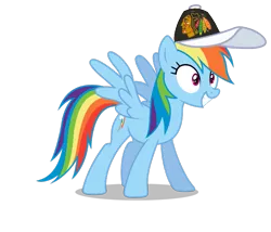 Size: 801x687 | Tagged: safe, banned from derpibooru, deleted from derpibooru, derpibooru import, rainbow dash, chicago blackhawks