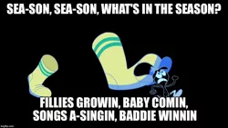 Size: 888x500 | Tagged: safe, banned from derpibooru, deleted from derpibooru, derpibooru import, spoiler:s05, barely pony related, caption, clothes, image macro, lyrics, meme, nightmare, socks, song parody, text, wander, wander over yonder