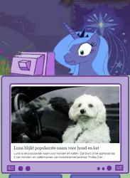 Size: 563x771 | Tagged: safe, banned from derpibooru, deleted from derpibooru, derpibooru import, princess luna, dog, car, dutch, exploitable meme, facebook, meme, obligatory pony, s1 luna, translated in the description, tv meme