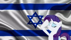 Size: 1920x1080 | Tagged: safe, banned from derpibooru, deleted from derpibooru, derpibooru import, rarity, cropped, drama bait, israel, politics, salute