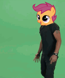 Size: 299x360 | Tagged: safe, banned from derpibooru, deleted from derpibooru, derpibooru import, edit, scootaloo, animated, caption, image macro, just do it, meme, shia labeouf, text