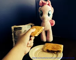 Size: 2046x1610 | Tagged: safe, artist:adammasterart, banned from derpibooru, deleted from derpibooru, derpibooru import, pinkie pie, human, 1000 shots to get the perfect photograph, food, irl, irl human, mre, otaku date, photo, plate, plushie, ration, sandwich, waifu, waifu dinner