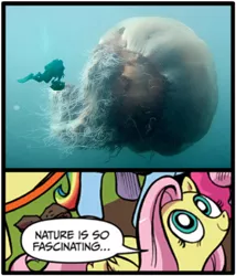 Size: 501x585 | Tagged: safe, banned from derpibooru, deleted from derpibooru, derpibooru import, idw, fluttershy, jellyfish, andy price, exploitable meme, meme, nature is so fascinating, obligatory pony, underwater