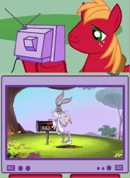 Size: 564x772 | Tagged: safe, banned from derpibooru, deleted from derpibooru, derpibooru import, big macintosh, bugs bunny, exploitable meme, meme, obligatory pony, tv meme, wabbit