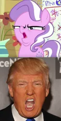 Size: 696x1368 | Tagged: safe, banned from derpibooru, deleted from derpibooru, derpibooru import, diamond tiara, crusaders of the lost mark, arin hanson face, donald trump