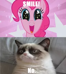 Size: 844x947 | Tagged: safe, banned from derpibooru, deleted from derpibooru, derpibooru import, pinkie pie, grumpy cat, meme, stars