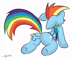 Size: 799x663 | Tagged: suggestive, artist:grumblepluck, banned from derpibooru, deleted from derpibooru, derpibooru import, rainbow dash, butt, female, plot, solo, solo female