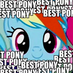 Size: 484x480 | Tagged: safe, banned from derpibooru, deleted from derpibooru, derpibooru import, rainbow dash, best pony, c:, caption, cute, image macro, meme, opinion, smiling, text