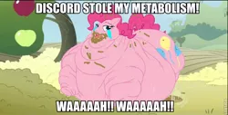 Size: 720x366 | Tagged: safe, banned from derpibooru, deleted from derpibooru, derpibooru import, edit, pinkie pie, caption, chocolate, chocolate milk, chocolate rain, crying, fat, food, image macro, lordryu fat edit, milk, morbidly obese, obese, rain, roflbot, sad, text, weight gain