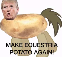 Size: 552x512 | Tagged: safe, banned from derpibooru, deleted from derpibooru, derpibooru import, donald trump, food, make america great again, meme, potato, trump meme, wat