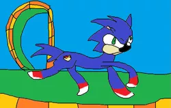 Size: 891x564 | Tagged: safe, artist:background pony, banned from derpibooru, deleted from derpibooru, derpibooru import, oc, ponified, pony, 1000 hours in ms paint, green hill zone, sanic, sonic the hedgehog, sonic the hedgehog (series), stylistic suck