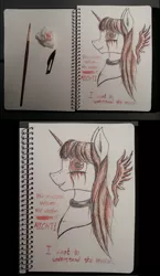 Size: 2604x4480 | Tagged: semi-grimdark, artist:kopaleo, banned from derpibooru, deleted from derpibooru, derpibooru import, oc, oc:cosmia nebula, unofficial characters only, blood, blood art, text, traditional art