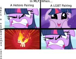 Size: 1042x803 | Tagged: safe, banned from derpibooru, deleted from derpibooru, derpibooru import, twilight sparkle, angry, chart, drama, lgbt drama, meta