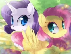 Size: 738x562 | Tagged: safe, banned from derpibooru, deleted from derpibooru, derpibooru import, fluttershy, rarity, heart (organ), organs