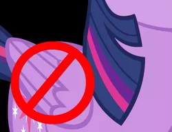 Size: 1105x847 | Tagged: artist needed, safe, banned from derpibooru, deleted from derpibooru, derpibooru import, twilight sparkle, 1000 hours in ms paint, alicorn drama, background pony strikes again, drama, drama bait, ms paint, this again