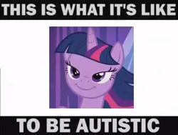 Size: 600x453 | Tagged: safe, banned from derpibooru, deleted from derpibooru, derpibooru import, twilight sparkle, autism, meme, shitpostbot