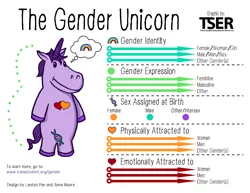 Size: 3300x2550 | Tagged: safe, artist:anna moore, artist:landyn pan, banned from derpibooru, deleted from derpibooru, derpibooru import, unicorn, barely pony related, dna, gender unicorn, graph, heart, rainbow, trans student educational resources, transgender