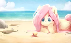 Size: 1077x648 | Tagged: safe, artist:jumblehorse, banned from derpibooru, deleted from derpibooru, derpibooru import, fluttershy, pegasus, pony, beach, colored pupils, cute, female, folded wings, hermit crab, horizon, looking at something, lying down, mare, ocean, prone, shyabetes, solo, wings