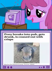 Size: 437x600 | Tagged: safe, banned from derpibooru, deleted from derpibooru, derpibooru import, berry punch, berryshine, horse, drunk, exploitable meme, huffington post, irl, irl horse, link in source, meme, news, obligatory pony, photo, tv meme, video at source