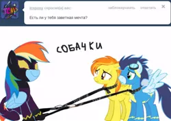 Size: 500x354 | Tagged: safe, artist:jbond, banned from derpibooru, deleted from derpibooru, derpibooru import, rainbow dash, soarin', spitfire, pony, clothes, cyrillic, russian, shadow dash, shadowbolt dash, text, tumblr, uniform, wonderbolts uniform