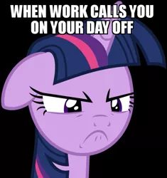 Size: 563x600 | Tagged: safe, banned from derpibooru, deleted from derpibooru, derpibooru import, twilight sparkle, angry, caption, image macro, meme, obligatory pony, solo, text, this will end in tears