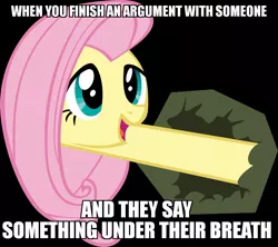 Size: 948x843 | Tagged: safe, banned from derpibooru, deleted from derpibooru, derpibooru import, fluttershy, caption, hedge, image macro, meme, obligatory pony, say what, solo, text, when x and y