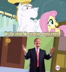 Size: 498x546 | Tagged: safe, banned from derpibooru, deleted from derpibooru, derpibooru import, bulk biceps, fluttershy, donald trump, exploitable meme, meme, politics, replacement meme, snow, snowflake, united states