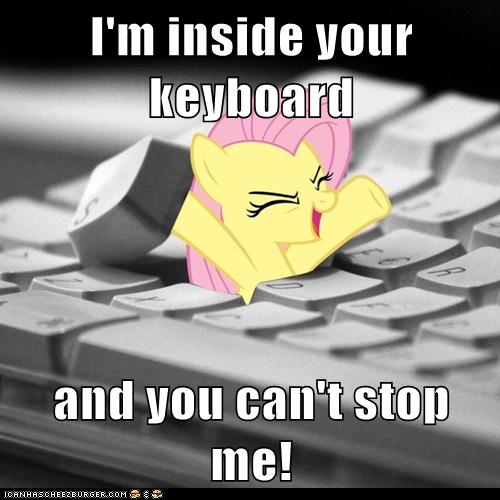 Size: 500x500 | Tagged: safe, banned from derpibooru, deleted from derpibooru, derpibooru import, fluttershy, caption, image macro, text