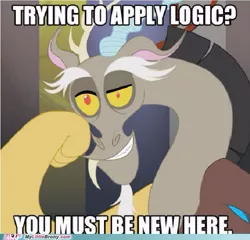 Size: 493x473 | Tagged: artist needed, safe, banned from derpibooru, deleted from derpibooru, derpibooru import, discord, caption, condescending wonka, image macro, logical fallacy, meme, mlb, my little brony, solo, text, you must be new here