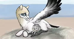 Size: 1229x657 | Tagged: safe, artist:samnemus, banned from derpibooru, deleted from derpibooru, derpibooru import, ponified, bird, bird pone, hippalectryon, pony, 4chan, chick, cuddling, cute, eyes closed, fluffy, gannet, looking down, prone, snuggling, spread wings, wings