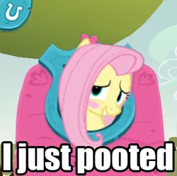 Size: 331x329 | Tagged: safe, banned from derpibooru, deleted from derpibooru, derpibooru import, screencap, fluttershy, blushing, blush sticker, caption, fart joke, grin, image macro, looking at you, meme, puzzle party, smiling, solo, text