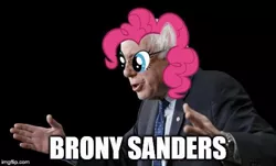 Size: 500x302 | Tagged: safe, banned from derpibooru, deleted from derpibooru, derpibooru import, pinkie pie, 1000 years in photoshop, bernie sanders, brony, pun