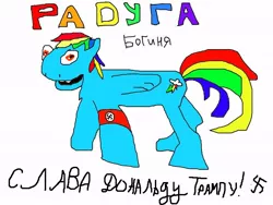 Size: 800x600 | Tagged: safe, banned from derpibooru, deleted from derpibooru, derpibooru import, rainbow dash, donald trump, nationalism, op is on drugs, shitposting, slavonian tribes welcome donald trump