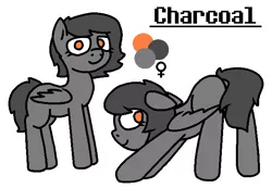 Size: 656x455 | Tagged: safe, artist:perplexia, banned from derpibooru, deleted from derpibooru, derpibooru import, oc, oc:charcoal, unofficial characters only, pegasus, pony, reference sheet, solo