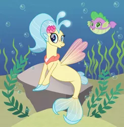 Size: 1024x1043 | Tagged: safe, artist:ginkadia, banned from derpibooru, deleted from derpibooru, derpibooru import, princess skystar, spike, fish, puffer fish, seapony (g4), my little pony: the movie, bubble, cute, duo, kelp, ocean, open mouth, rock, species swap, spike the pufferfish, underwater